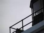 lighthouse 1.jpg (25kb)